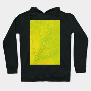 Autumn Leaf Hoodie